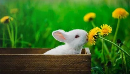 九游网-女子足球亚洲杯预选赛，中国队顺利晋级，女足亚洲杯2022