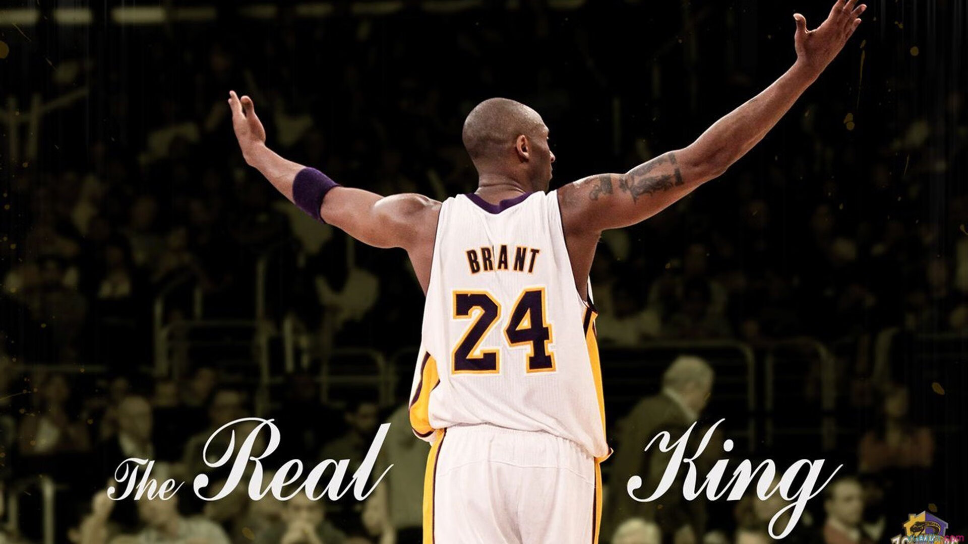 《英雄联盟MSI季中冠军赛，亚洲战队迎难而上》，msi季中冠军赛全称